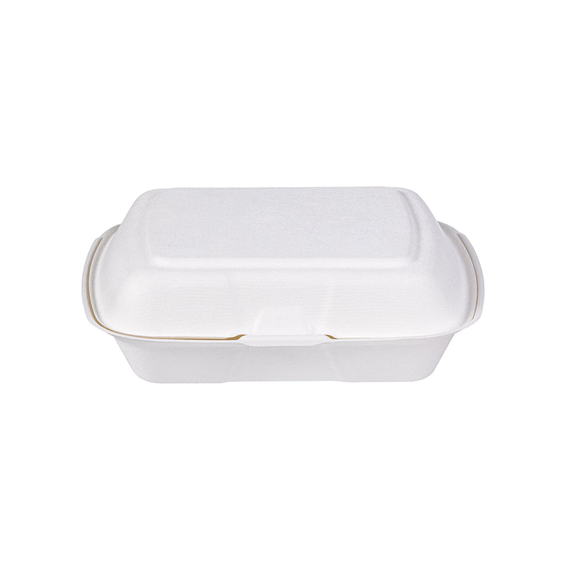 Foodbox ungeteilt groß